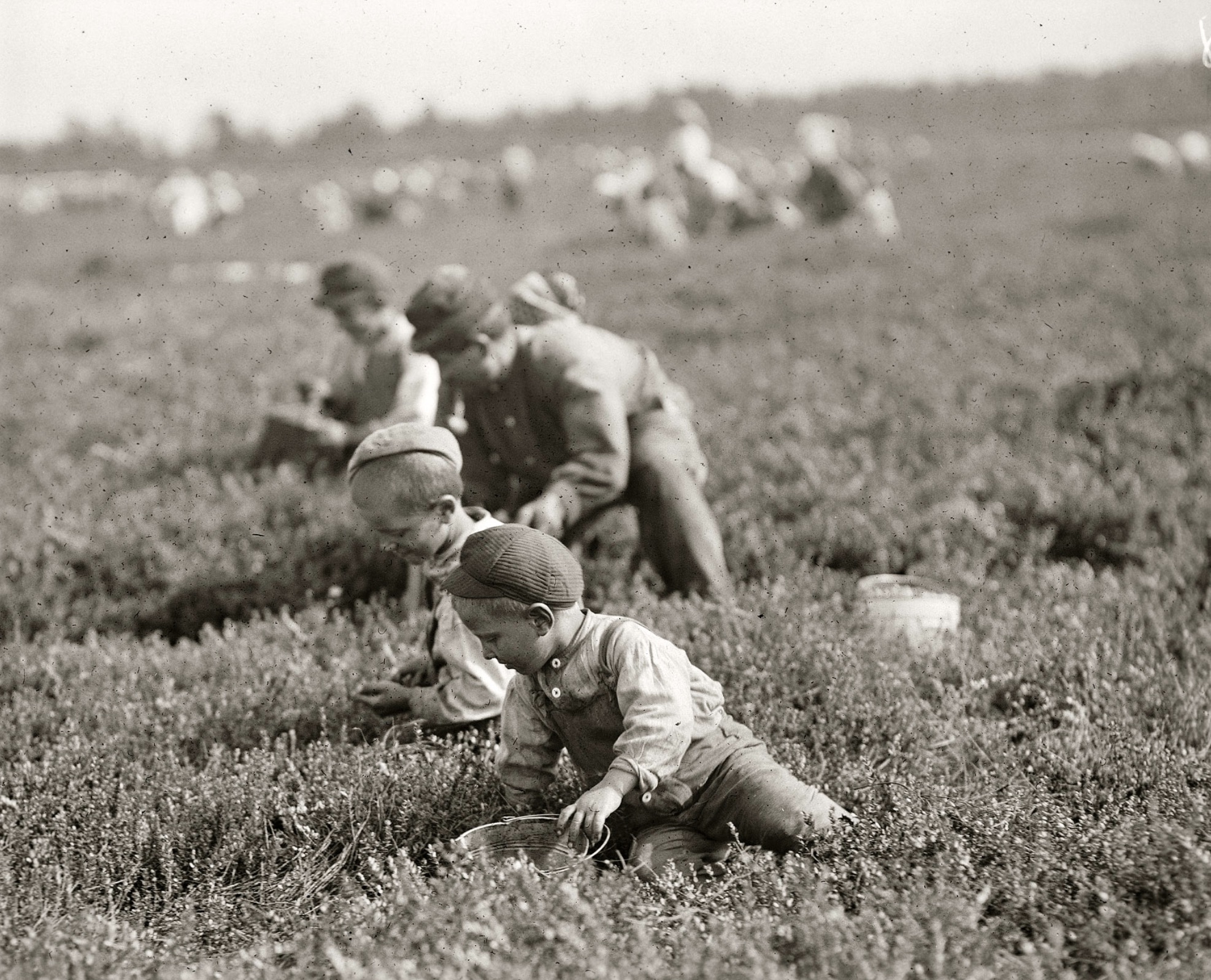 Working on the Farm, New Jersey, 1910 